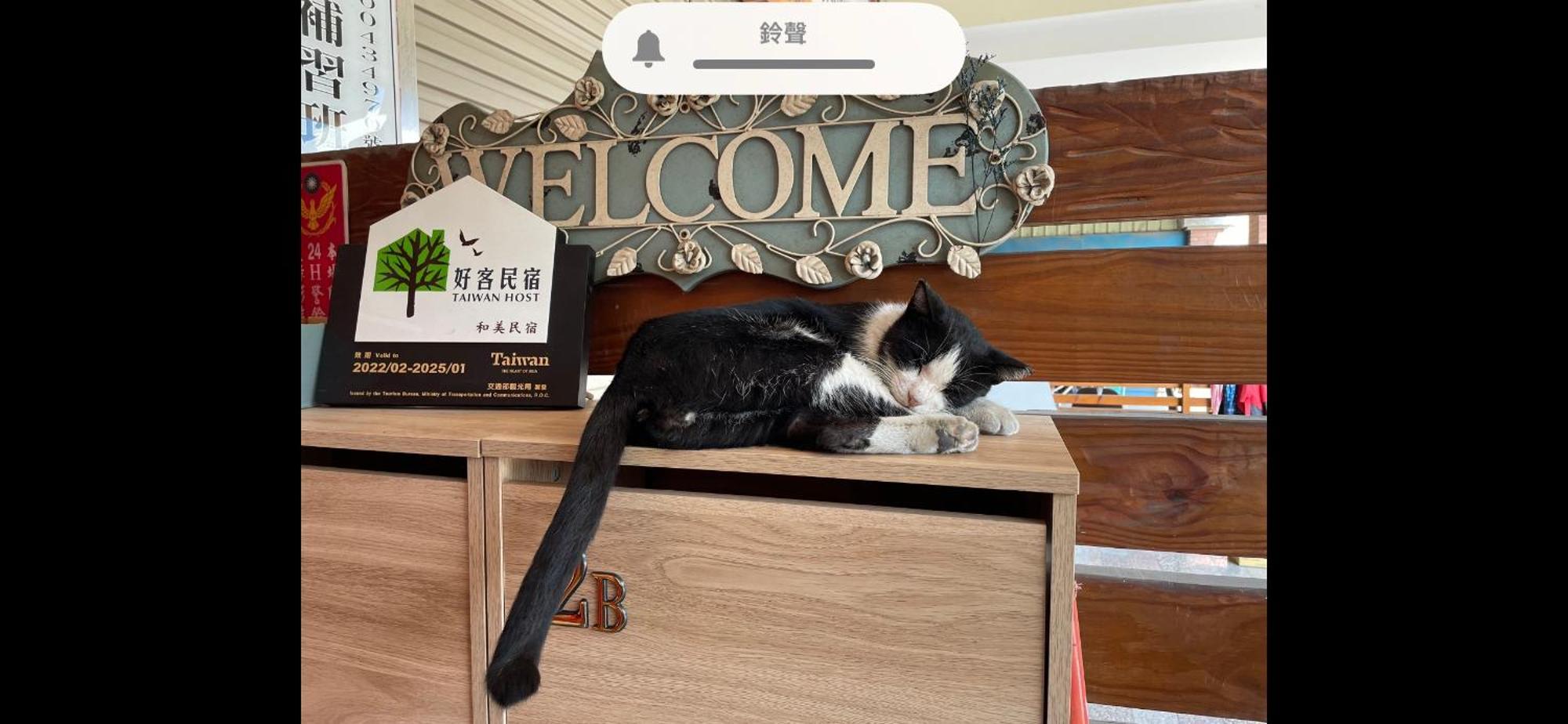 Hemei Homestay Homei Ngoại thất bức ảnh